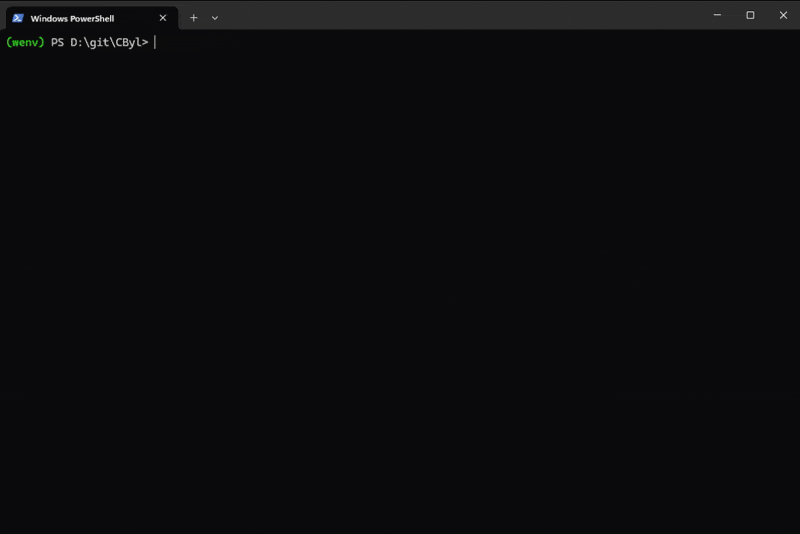 C-byl — A Real Time Video Analysis System